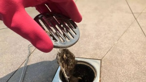 5 tips to get rid of bathroom drain flies