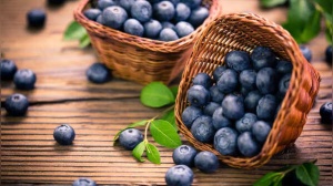5 best fruits for kidney health: How to boost function and protect kidneys naturally