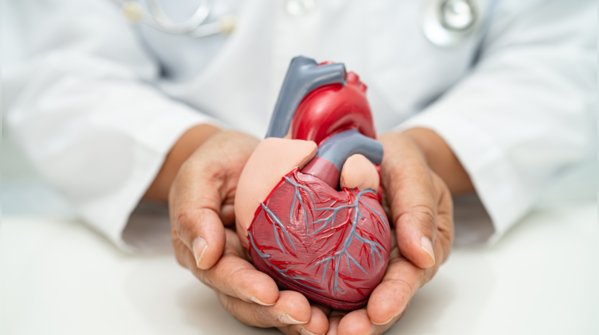 Cardiovascular Support