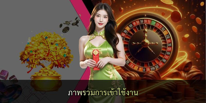 ภาพรวมการเข้าใช้งาน