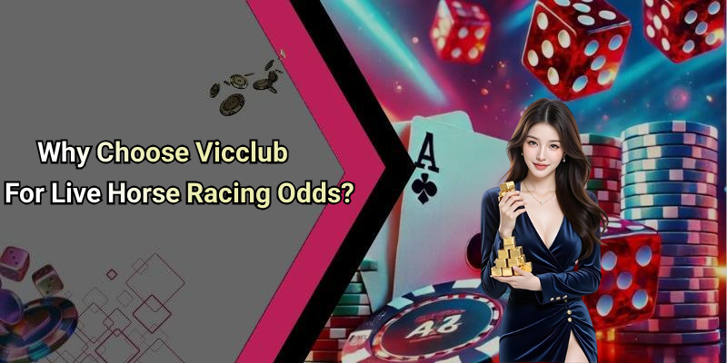 Why Choose Vicclub For Live Horse Racing Odds?