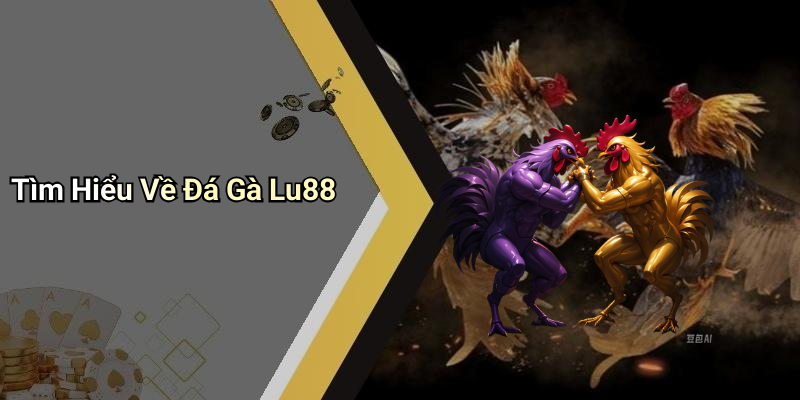 Tìm Hiểu Về Đá Gà Lu88