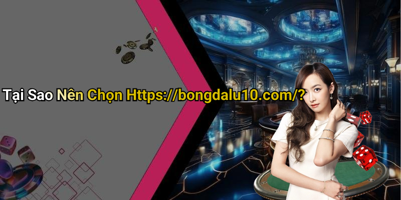 Tại Sao Nên Chọn Https://bongdalu10.com/?