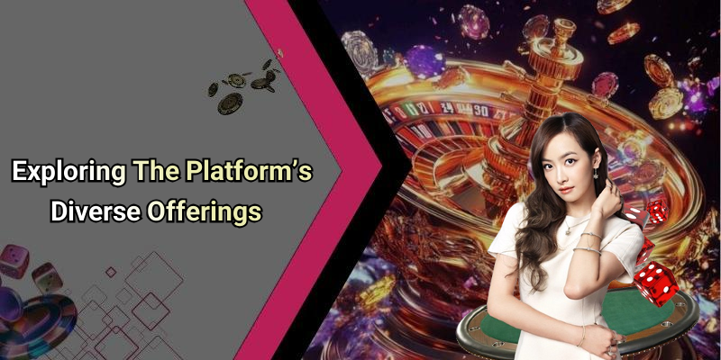 Exploring The Platform’s Diverse Offerings
