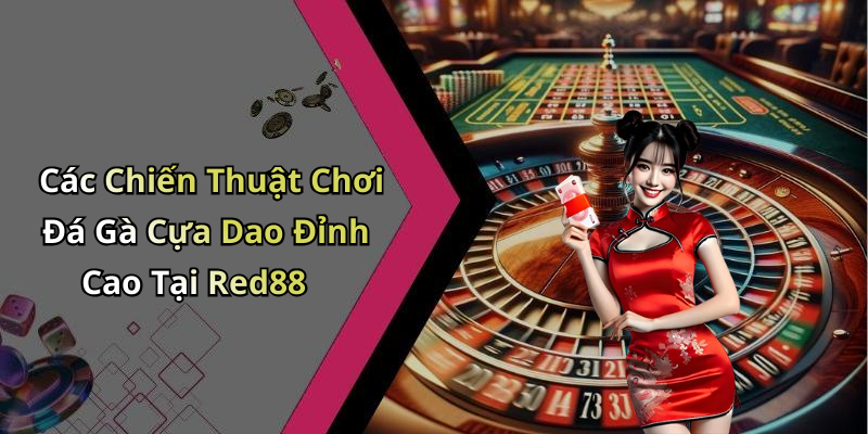 Các Chiến Thuật Chơi Đá Gà Cựa Dao Đỉnh Cao Tại Red88