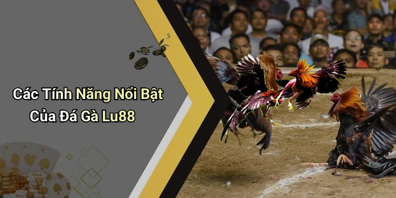 Các Tính Năng Nổi Bật Của Đá Gà Lu88