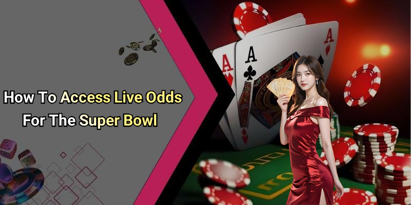 How To Access Live Odds For The Super Bowl
