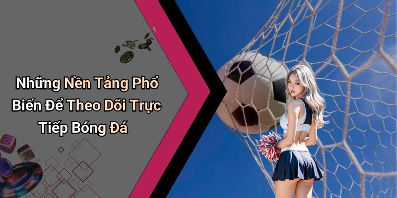 Những Nền Tảng Phổ Biến Để Theo Dõi Trực Tiếp Bóng Đá