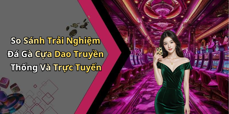 So Sánh Trải Nghiệm Đá Gà Cựa Dao Truyền Thống Và Trực Tuyến