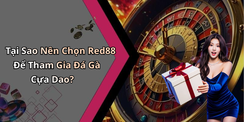 Tại Sao Nên Chọn Red88 Để Tham Gia Đá Gà Cựa Dao?