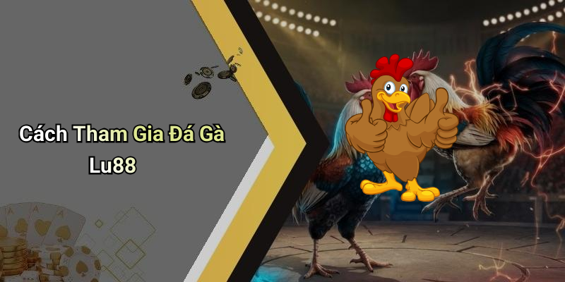 Cách Tham Gia Đá Gà Lu88