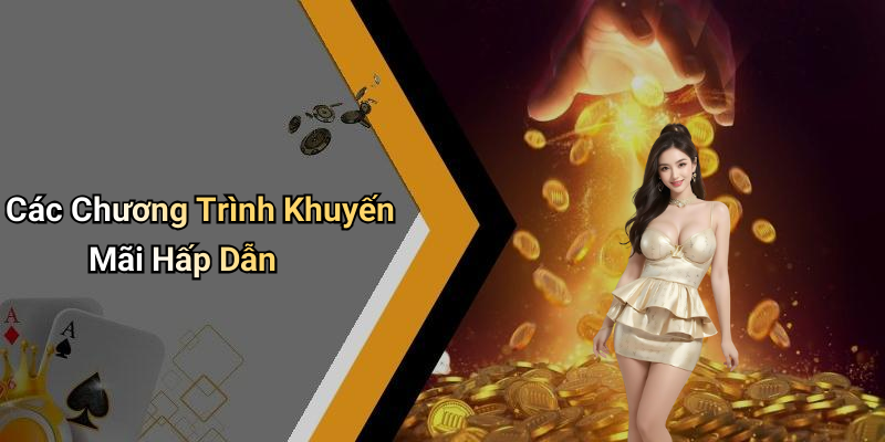 Các Chương Trình Khuyến Mãi Hấp Dẫn