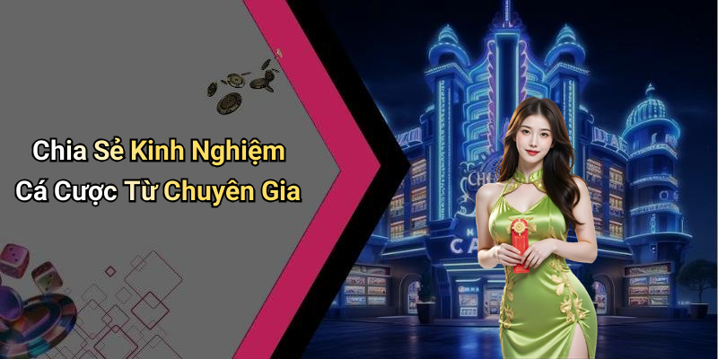 Chia Sẻ Kinh Nghiệm Cá Cược Từ Chuyên Gia