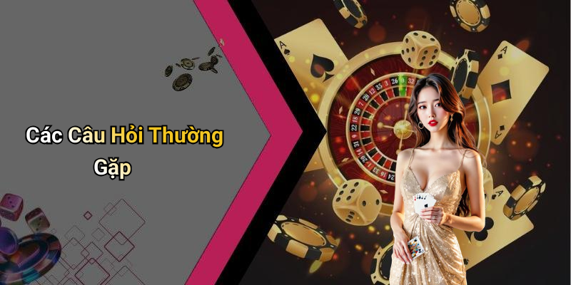 Các Câu Hỏi Thường Gặp