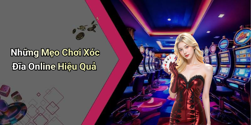 Những Mẹo Chơi Xóc Đĩa Online Hiệu Quả